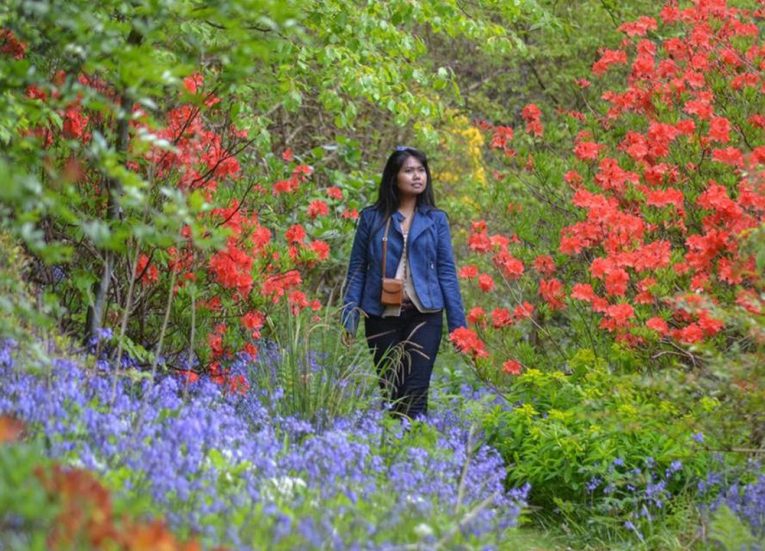 Mount Stewart in Spring. Things to do in Northern Ireland Tourist Attractions